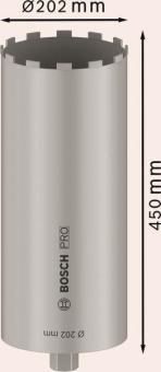 Bosch 2608601744         DIA BK NASS Ø20 