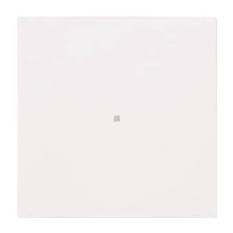 BJ Wippe 1-fach neutral      6230-10-44M 