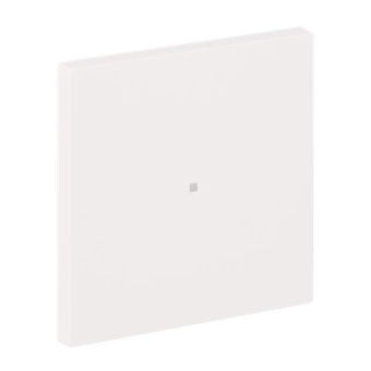 BJ Wippe 1-fach neutral      6230-10-44M 