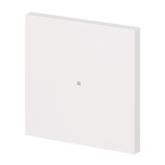 BJ Wippe 1-fach neutral      6230-10-44M 