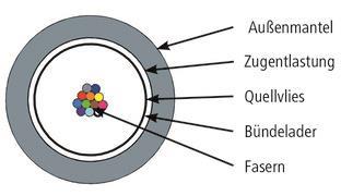 TEGA L08021D0305 LWL           100013410 