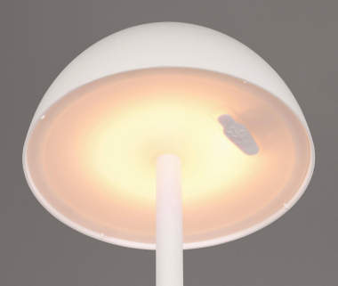 Trio LED TL RICARDO, 1,7W,     R54106131 