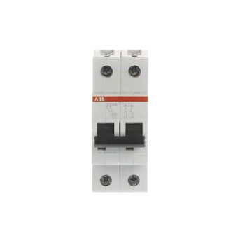 ABB Sicherungsautomat C-        S202M-C1 