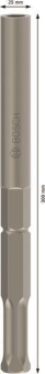 Bosch Erdnageleintreiber      2608690196 