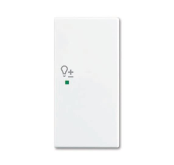 BJ Wippe/R 2f Dimmer         6234-22-914 
