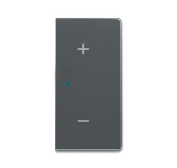 BJ Wippe anthrazit            6237-22-81 