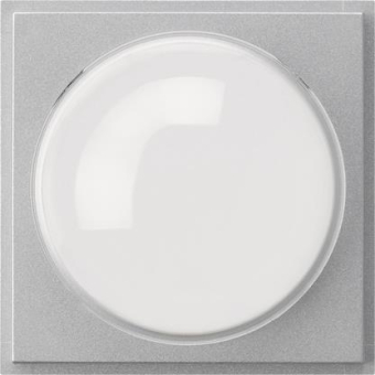 GIRA 141565 Abdeckung Farbkamera TX_44 