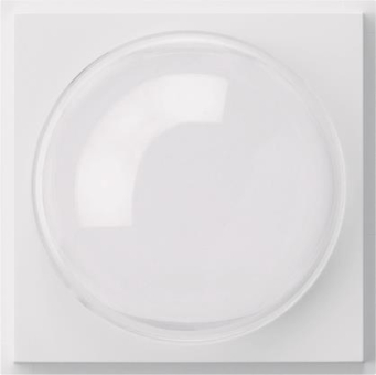 GIRA 141566 Abdeckung Farbkamera TX_44 