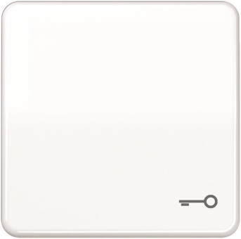 JG Wippe m. Symbol Tür     CD 590 BFT WW 