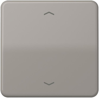 JG Wippe f. Taster BA        CD 590 P GR 