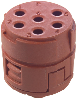 Lapp Einsatz 6p   EPIC SIGNAL M23 6P (5) 