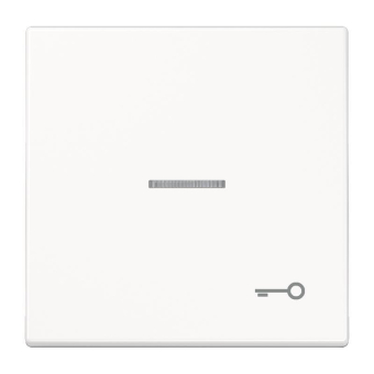 JG Wippe mit Symbol "Tür" LS 990 KO5T WW 