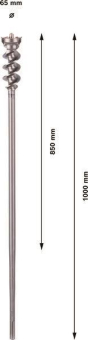 Bosch SDS-max-Bohrer 65/850mm 1618596460 