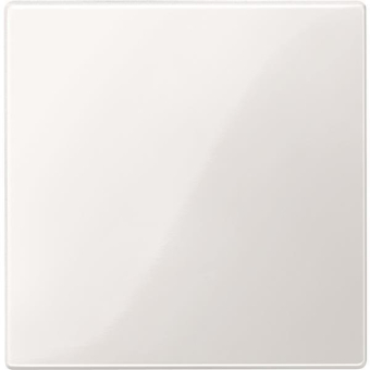 Merten Zentralplatte f.Bus-       450019 