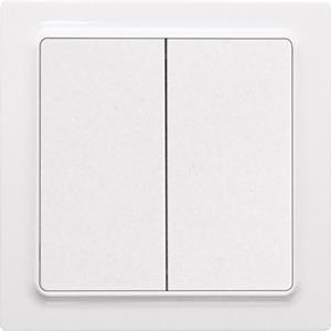 Eltako Funktaster reinweiß gl. F4T55E-wg 