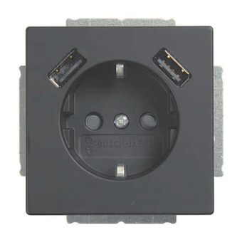 BJ Schuko/USB Steckdose  20 EUCB2USB-885 