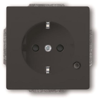 BJ SCHUKO Steckdosen-Einsatz 20 EUCBL-81 