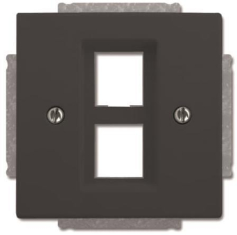 BJ Zentralscheibe anth future 2561-02-81 