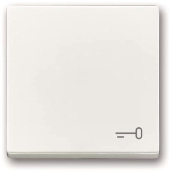 BJ Wippe Schlüssel            2520 TR-84 