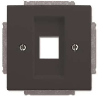 BJ Zentralscheibe anth future    2561-81 