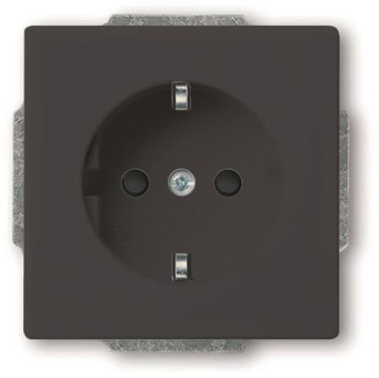 BJ SCHUKO Steckdosen Einsatz 20 EUCRB-81 