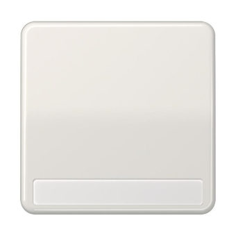 JG Wippe für Ws-, Kr-Schalt.   CD590NALG 