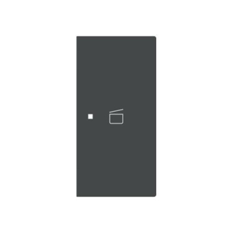 BJ Wippe 2-fach rechts       6233-22-45M 