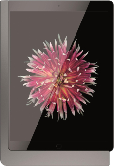 viveroo 510151 iPad Wandhalterung 11z 