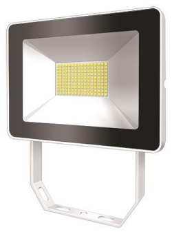 Esylux OFL BASIC LED 30W      EL10810718 