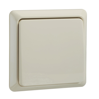 ELSO Renovierung Taster           502100 