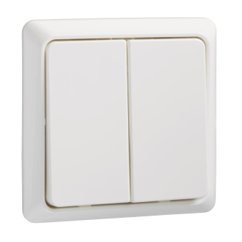 ELSO Renovierung Doppel-Taster UP 506194 