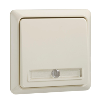 ELSO Renovierung Taster           512110 