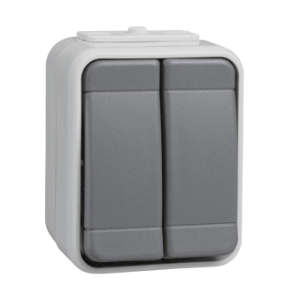 ELSO APWG Aqua-Top Doppeltaster   442509 