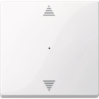 Elso Wippe für Taster-Modul    ELG367504 