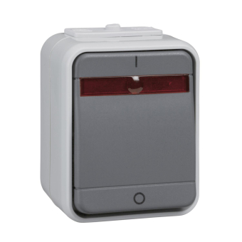 ELSO AP Kontroll Ausschalter   ELG441219 