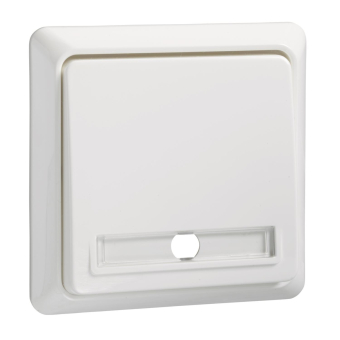 ELSO Renovierung Taster mit       502134 