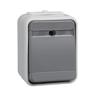 ELSO APWG Aqua-Top Taster mit     442129 