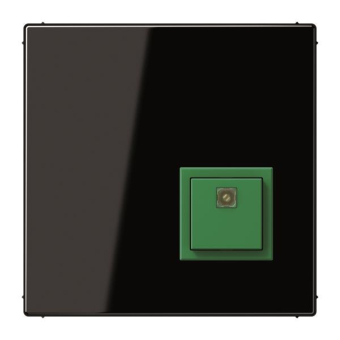 JG Abstelltaster           NRSLS0834ATSW 