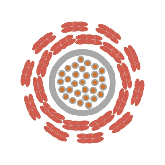 LAPP ÖLFLEX HEAT 1565 SC 1,5 3013234/100 