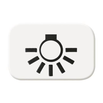 BJ Reflex SI Symbol Licht     2525LI-214 