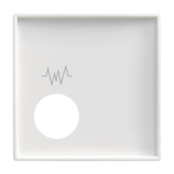 BJ Zentralscheibe         2548-020 F-914 