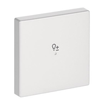 BJ Wippe 1fach Symbol Dimmer  6234-10-83 