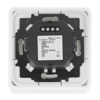 BJ Busch-Icelight Deckenlicht    2069/21 