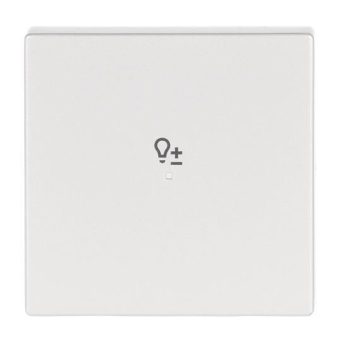 BJ Wippe 1fach Symbol Dimmer  6234-10-83 