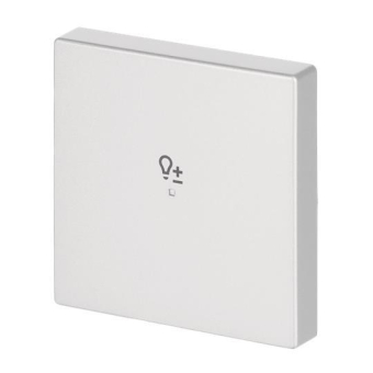 BJ Wippe 1fach Symbol Dimmer  6234-10-83 