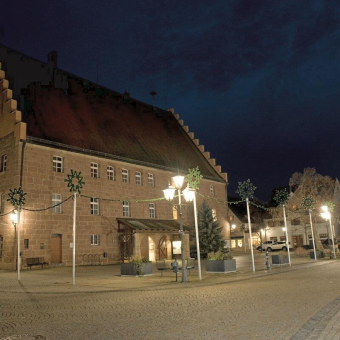DOTLUX LED Straßenlampe      1665-221360 