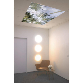 DOTLUX Motivplatte SKYLIGHT M04-01010620 