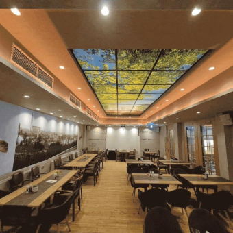 DOTLUX Motivplatte SKYLIGHT M01-01010620 