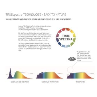 DOTLUX LED-Stehleuchte       5227-155075 