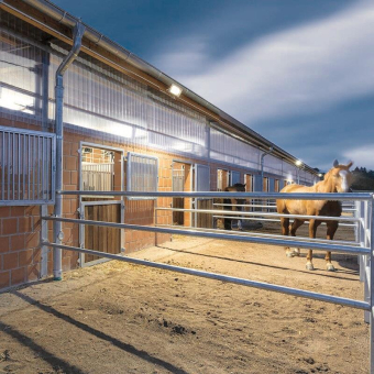 DOTLUX LED Strahler schwarz  5146-040120 